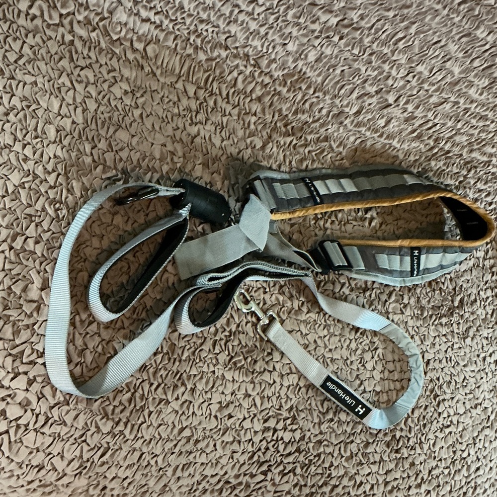 Reflective Gray Dog Harness and Leash Set